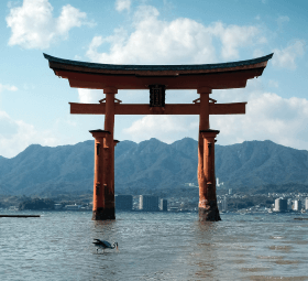 city_img
